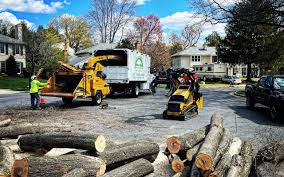 Best Pest Control for Lawns  in Healdsburg, CA