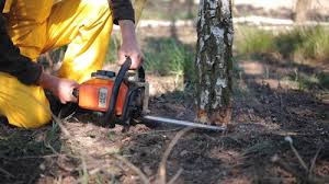 Best Lawn Irrigation Installation and Maintenance  in Healdsburg, CA